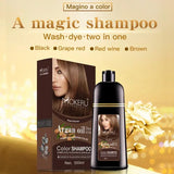 500ml Hair Dye Argan Oil Essence  White Hair Color Nourishing Scalp Fixation Hair Care